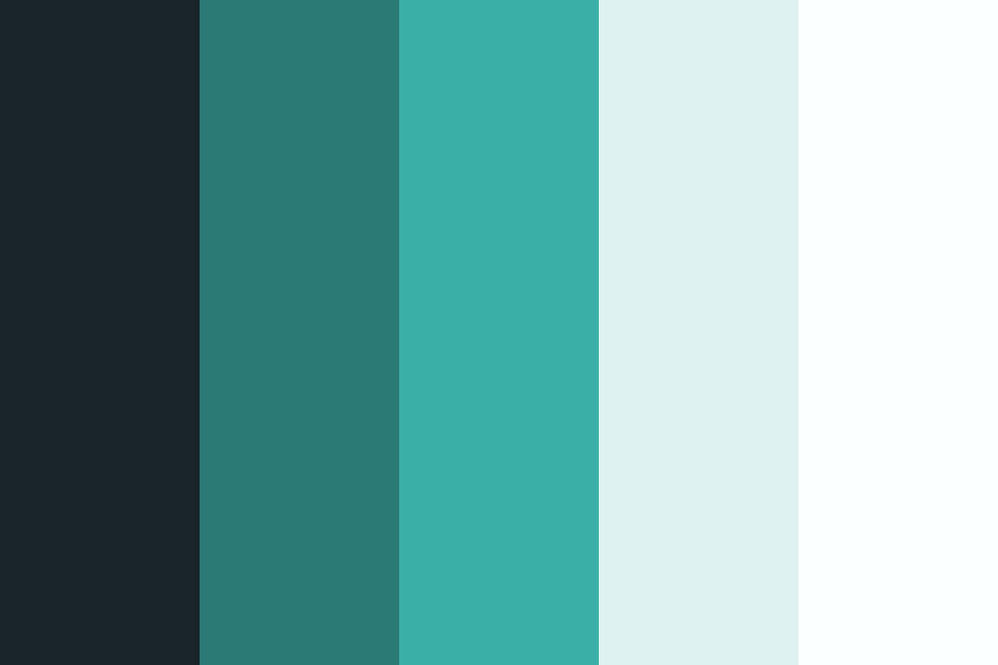 Bảng màu Hiện đại và Thanh khiết (Ảnh: Color Hex Color Codes).  